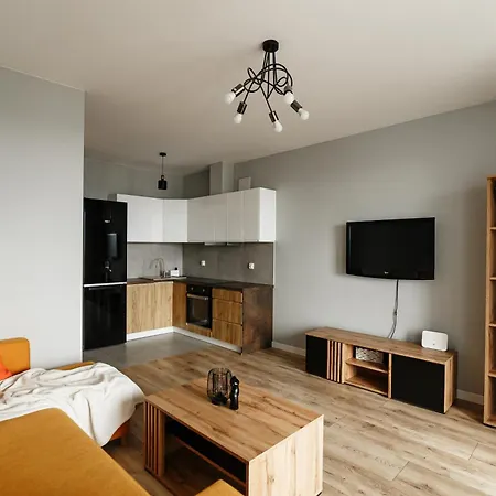 Urban Chic - - Center - Piecewska 아파트